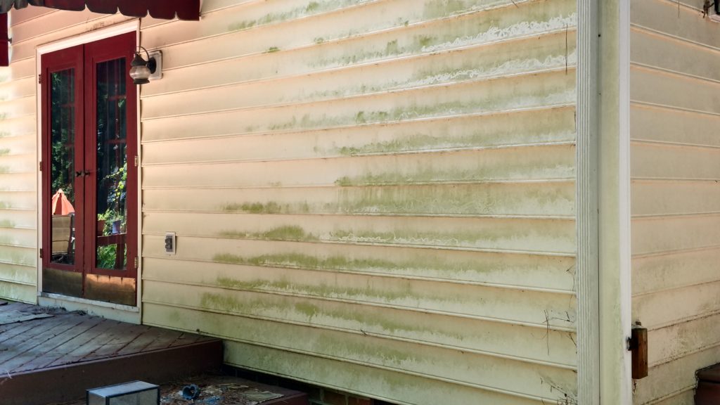 algae on vinyl siding